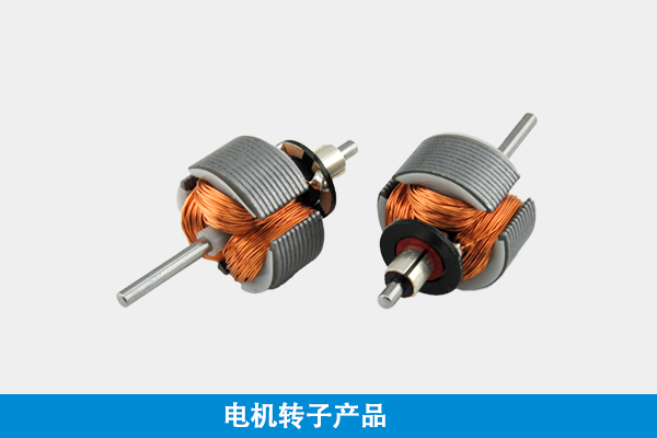 電機轉子
